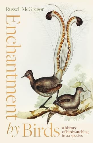 Enchantment by Birds