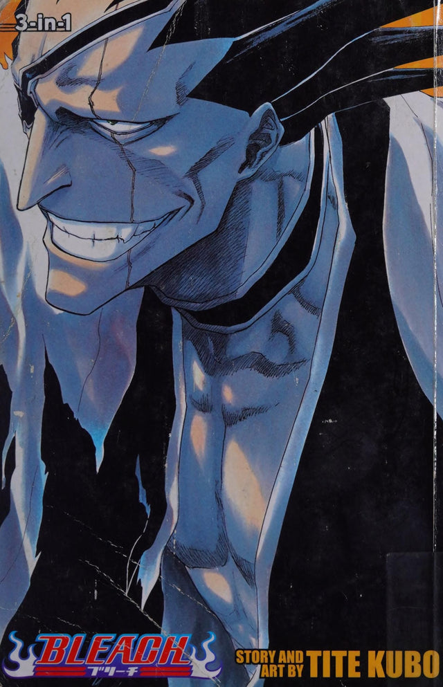 Bleach (3-in-1 Edition), Vol. 5