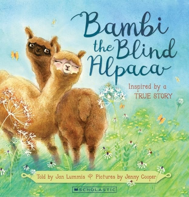 Bambi the Blind Alpaca