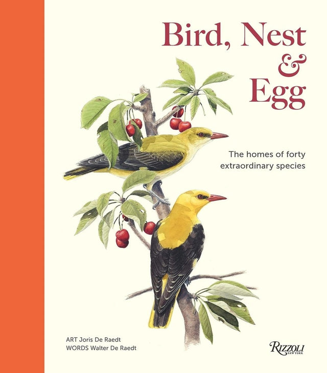 Bird, Nest & Egg
