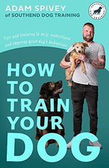 How to Train Your Dog