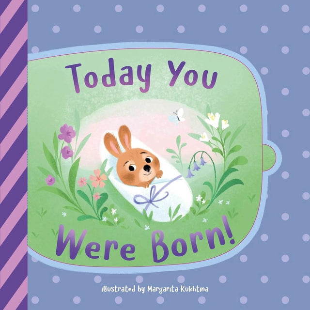 Today You Were Born! (Clever Lift the Flap Stories)
