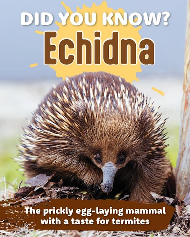 Did You Know? Echidna