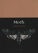 Moth