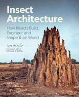 Insect Architecture