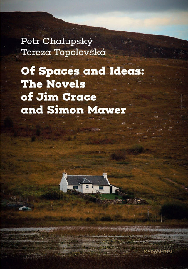 Of Spaces and Ideas