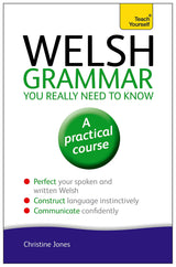 Welsh Grammar You Really Need to Know: Teach Yourself