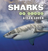Sharks Up Close
