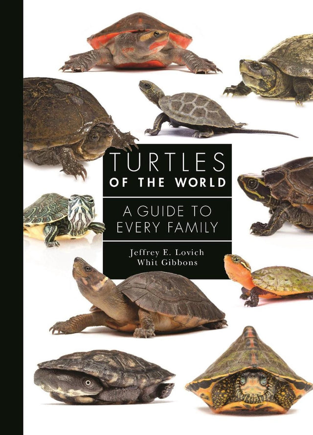 Turtles of the World