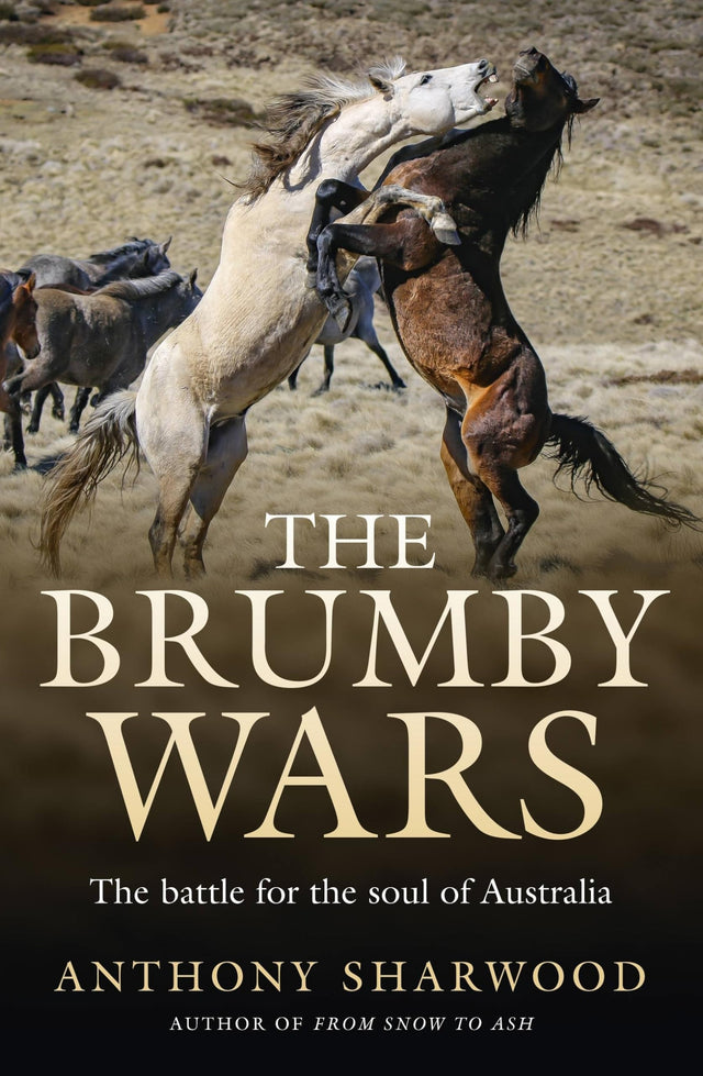 The Brumby Wars