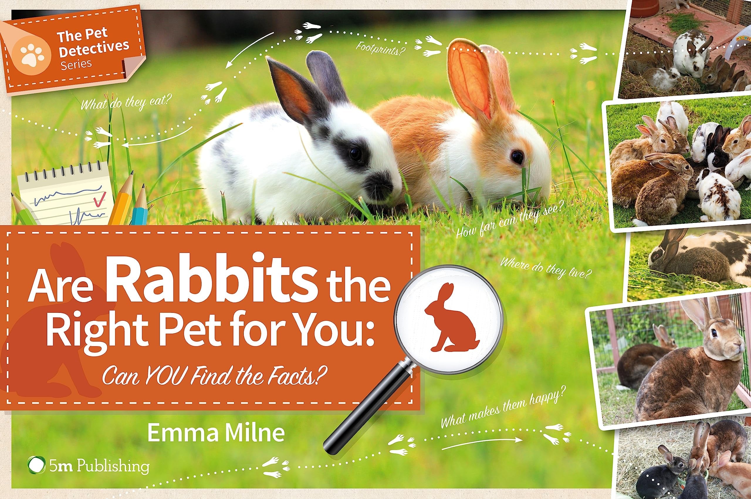 Are Rabbits the Right Pet for You by Emma Milne – Book Hero
