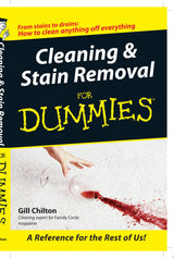 Cleaning and Stain Removal for Dummies