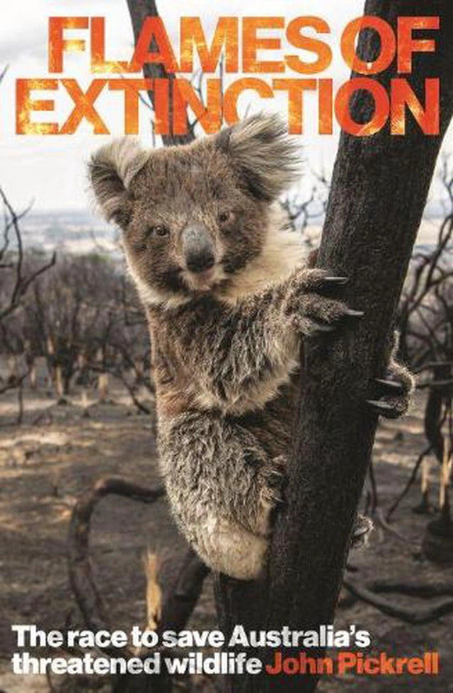 Flames of Extinction