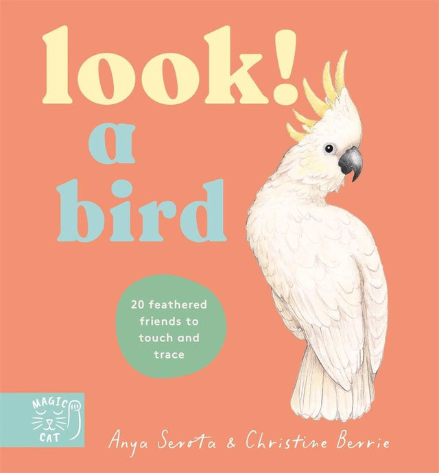 Look! A Bird!
