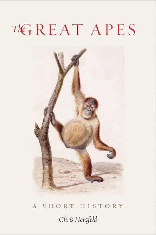 The Great Apes