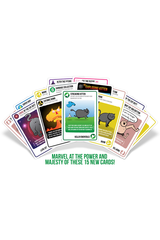 Streaking Kittens (Exploding Kittens Expansion)
