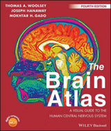 The Brain Atlas