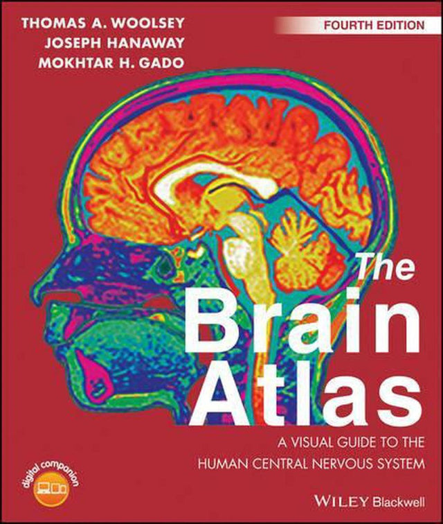 The Brain Atlas