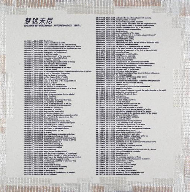 Yang Li and Antoine d’Agata: Too Much But Not Enough