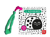 Baby's Buggy Book: Ladybird