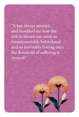 The Book of Awakening Inspiration Deck