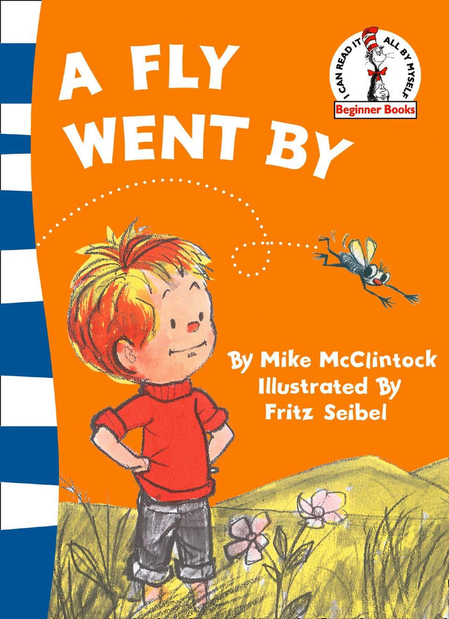 A Fly Went By