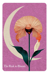 The Book of Awakening Inspiration Deck