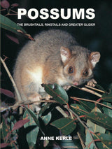 Possums of Australia