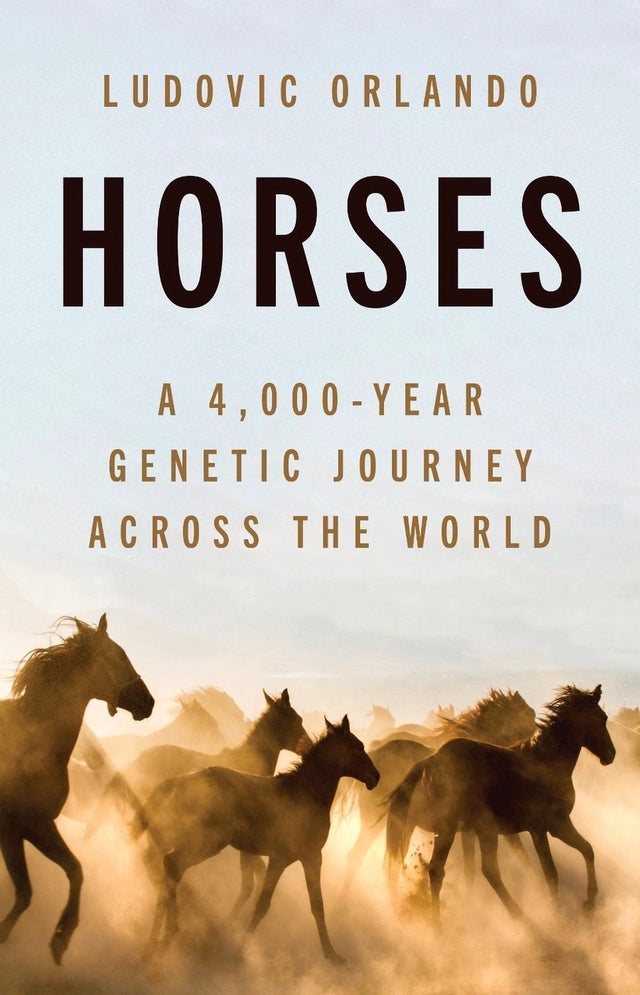 Horses