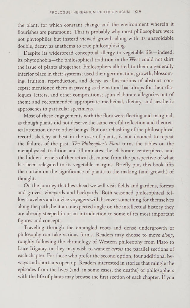 The Philosopher's Plant