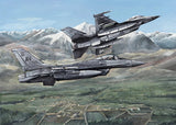 Take to the Sky 1000pc Jigsaw Puzzle - Ruling the Skies of Afghanistan