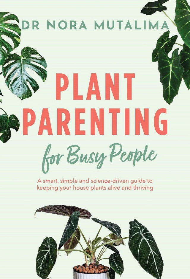 Plant Parenting for Busy People