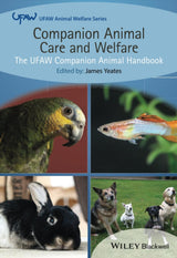 Companion Animal Care and Welfare