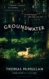 Groundwater
