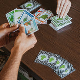 What's The Point? - The Cactus Card Game