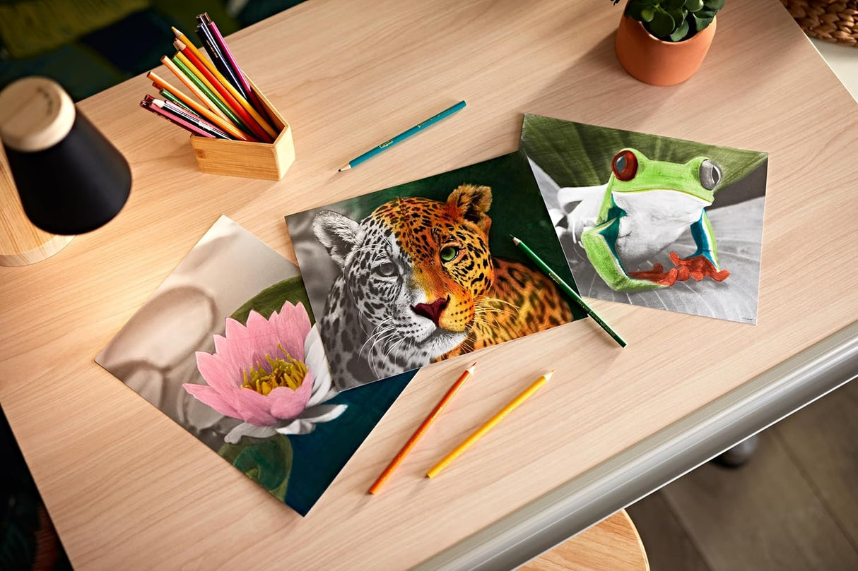 Crayola HD Coloring Kit