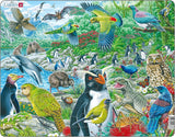 New Zealand Wildlife Puzzle