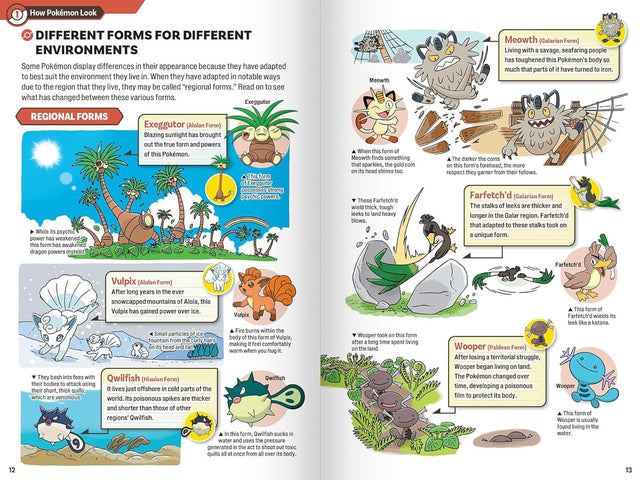 Pokécology an Illustrated Guide to Pokémon Ecology