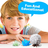 4M KidzLabs Crystal Science Kit