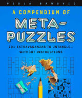 A Compendium of Meta-Puzzles