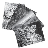 Crayola HD Coloring Kit