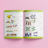 School Zone Big Spiro Workbook Maths