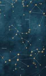 Constellated (Blank Lined Journal)