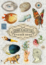 The Curious Collections Sticker Book