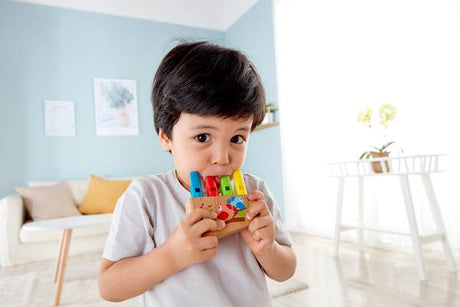 Hape: Rainbow Pan Pipe