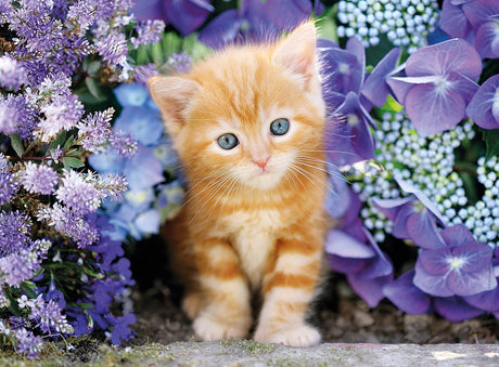 Clementoni Ginger Cat in Flowers Jigsaw Puzzle - 500 Piece - High Quality Collection - (30415)