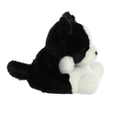 Palm Pals Plush - Brody Collie