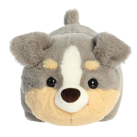 Aurora Spudsters - Storm Australian Shepherd (25cm)