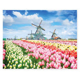 Mindbogglers: 1000pc Jigsaw Puzzle - Dutch Windmills, Holland, Netherlands