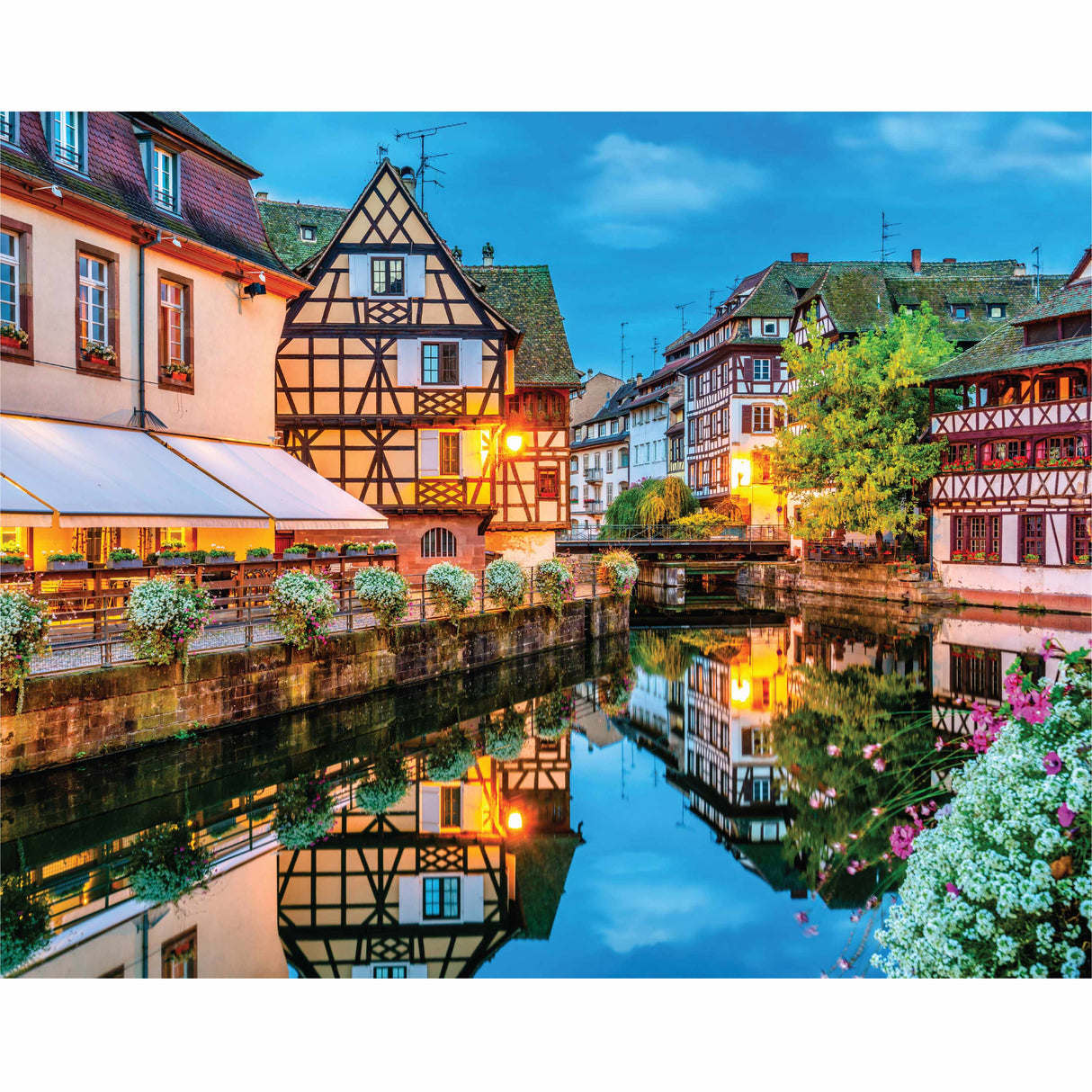 Mindbogglers 1000pc Jigsaw Puzzle - Alsace France